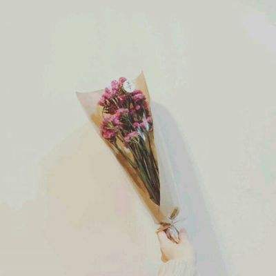 凌霄仙子破解版下载
